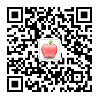 bob全新更新
